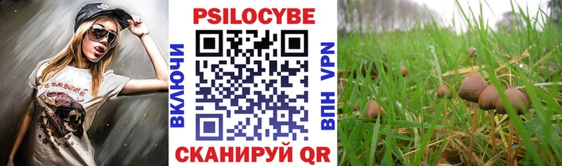 Галлюциногенные грибы Psilocybe Дивногорск