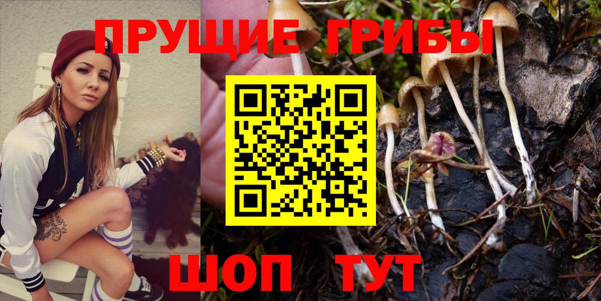 Галлюциногенные грибы GOLDEN TEACHER  Вход с VPN  Дивногорск 