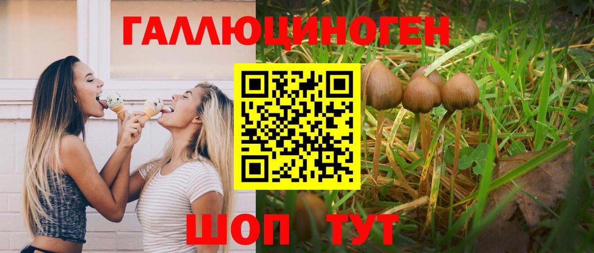 Галлюциногенные грибы мицелий Дивногорск