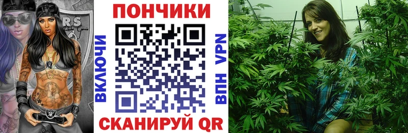 Бошки Шишки сатива  купить наркоту  Дивногорск 
